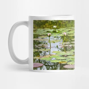 White And Purple Lotus Flowers Mug